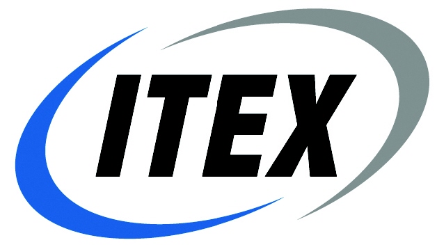 hosting services, ITEX Web Design, ITEX Web Designer